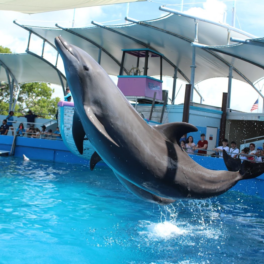 Miami Seaquarium 1