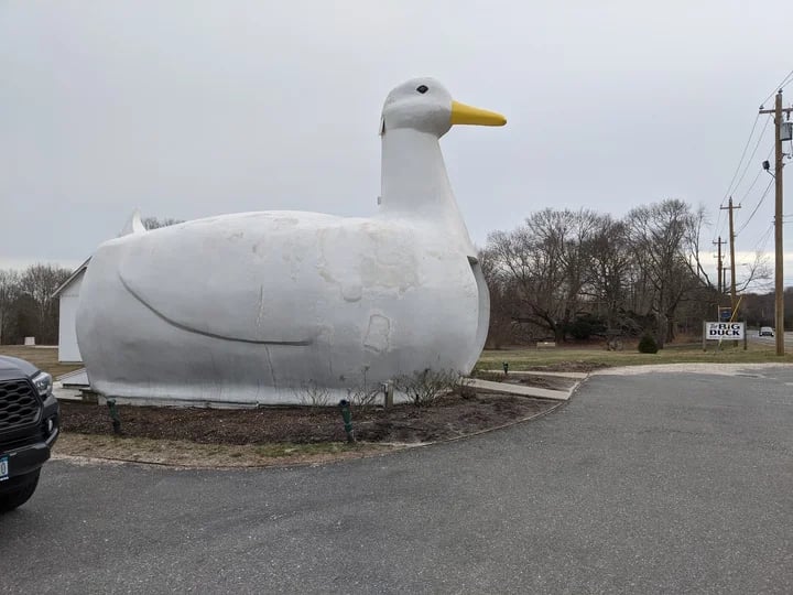 The Big Duck 2