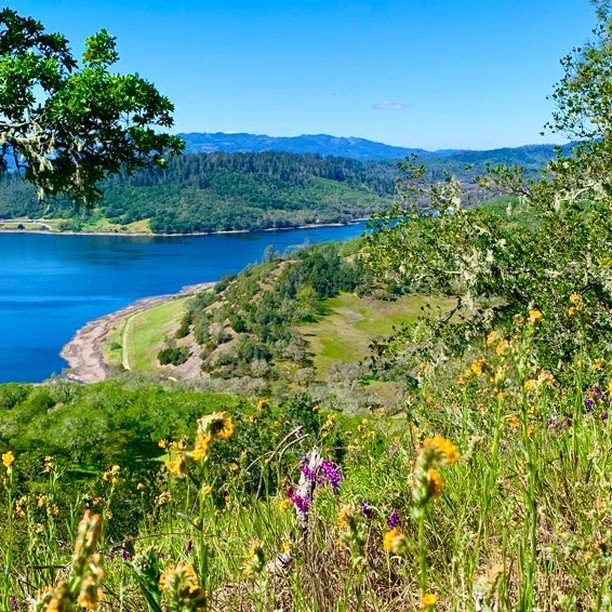 Moore Creek Park 1