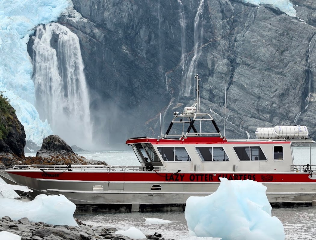 Custom Glacier and Wildlife Tours 2