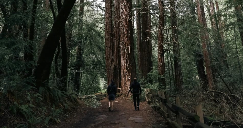 Joaquin Miller Park 3