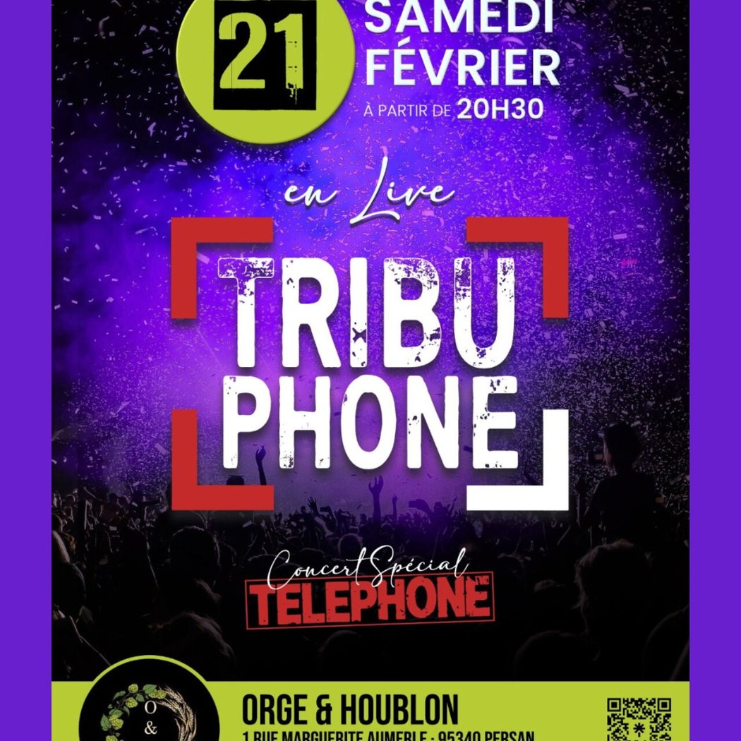 Concert live Tribute Téléphone 1