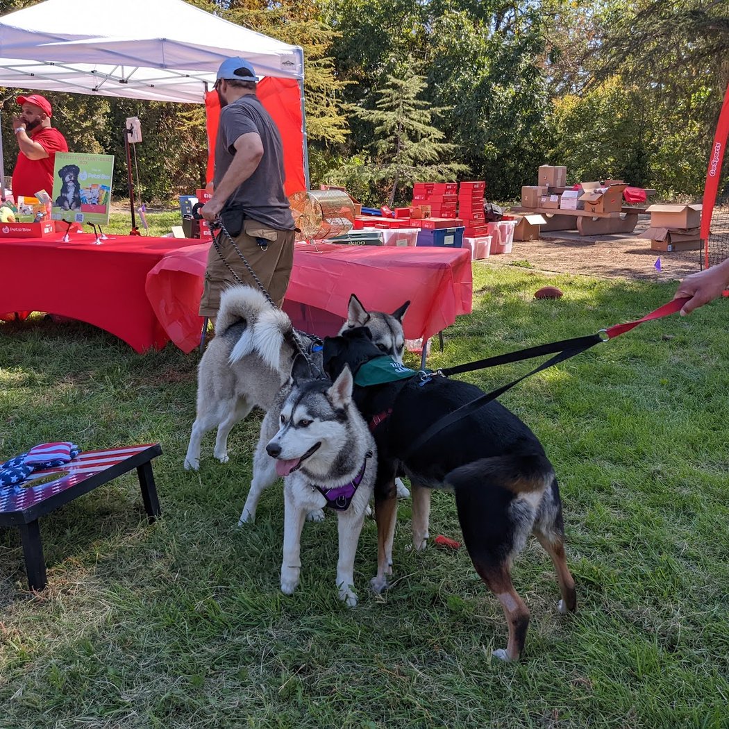 Bark in the Park 1