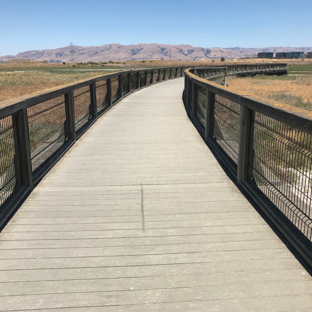 Sunnyvale Baylands Park 2