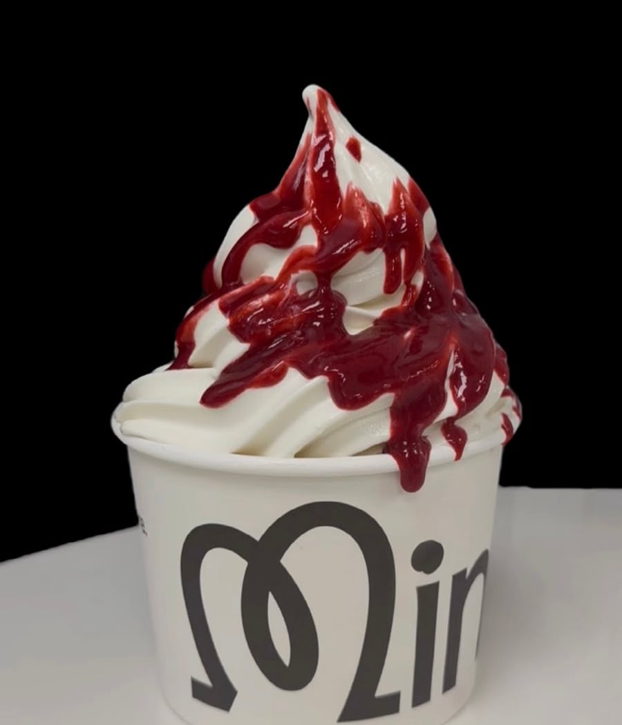 Mimi's Frozen Yogurt 2