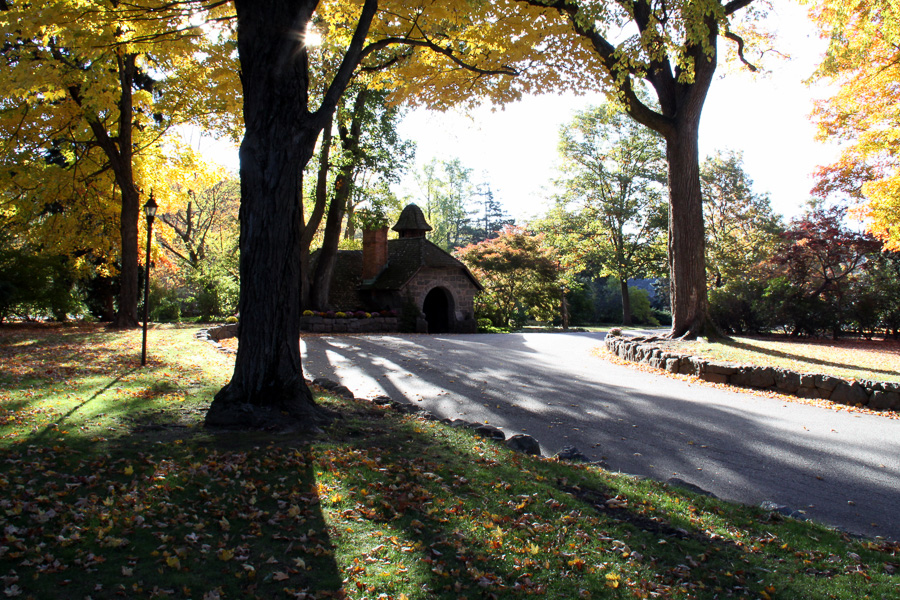 Ringwood State Park 2