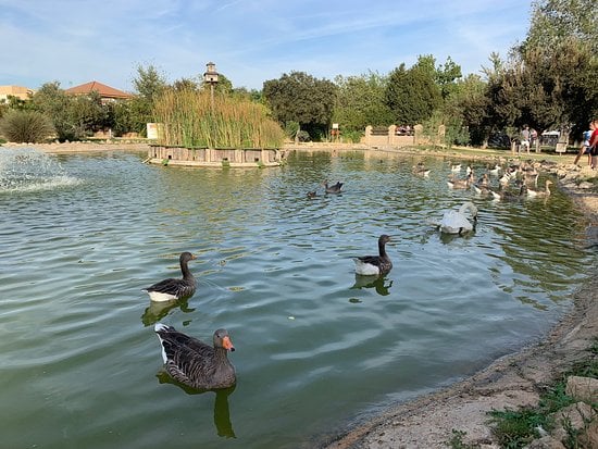 Parque Municipal de Gines 2