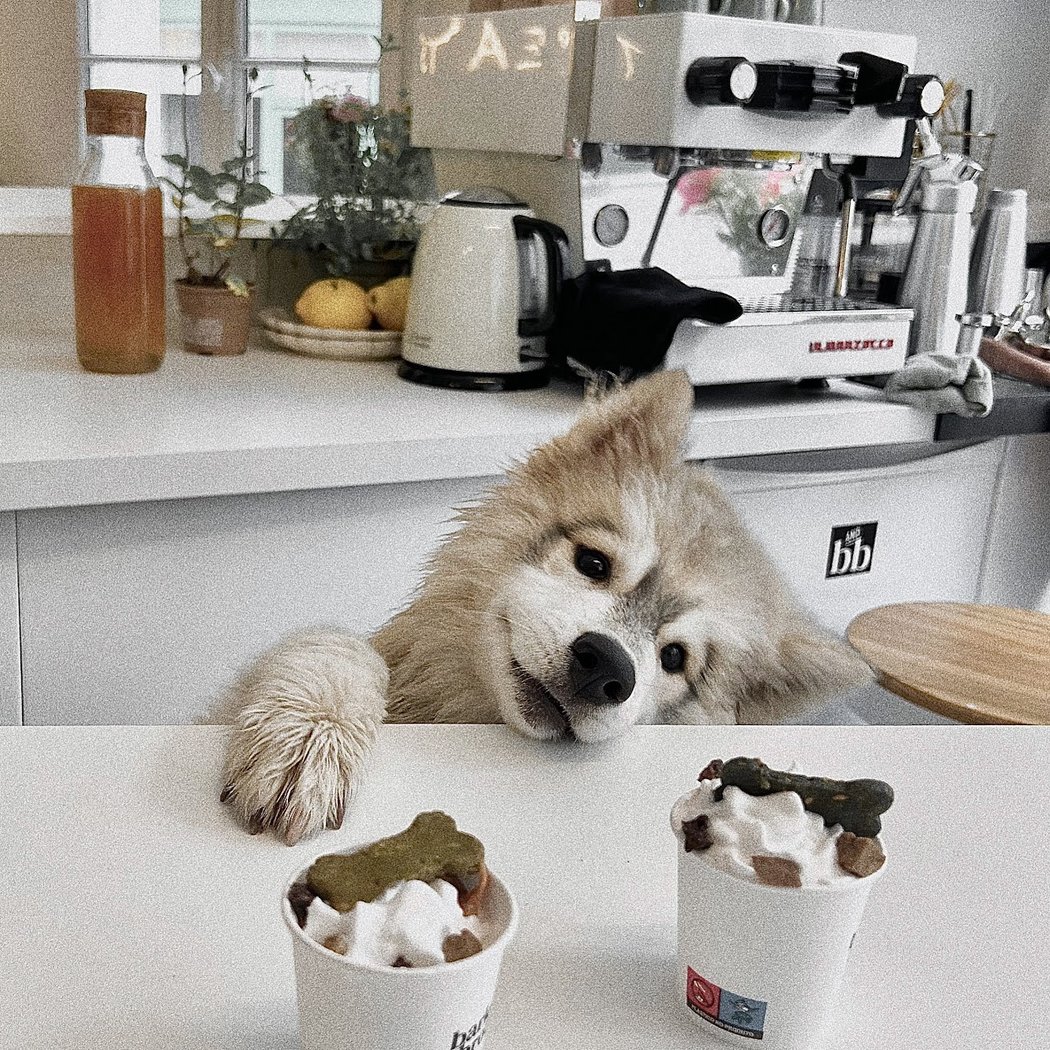Barkers and Brothers 1
