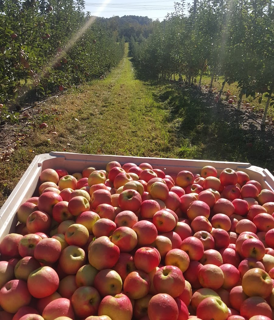 Crist Bros Orchards, Inc. 1