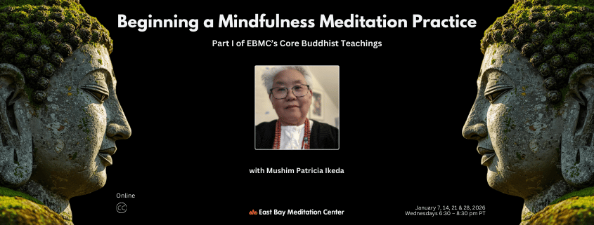 Beginning a Mindfulness Meditation Practice 1
