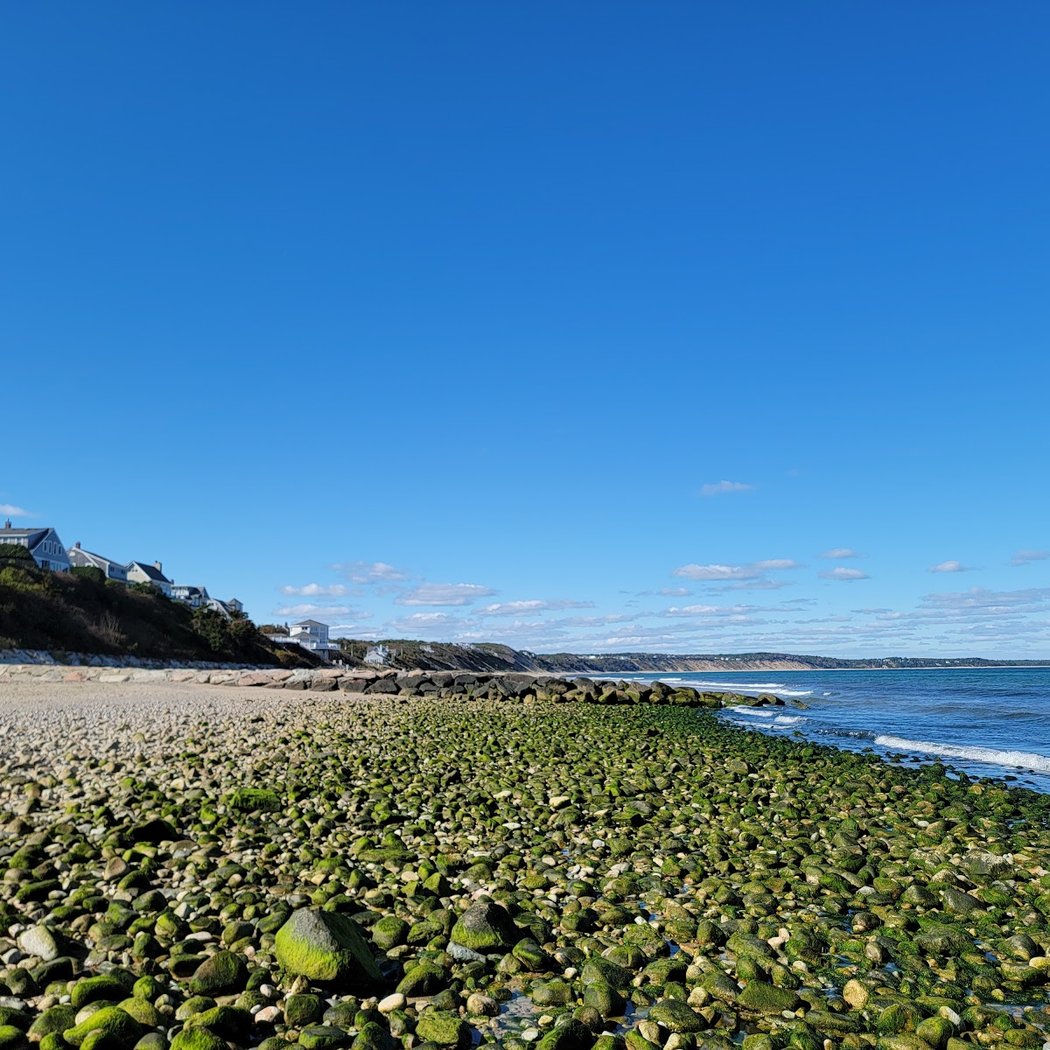 Sagamore Beach 1