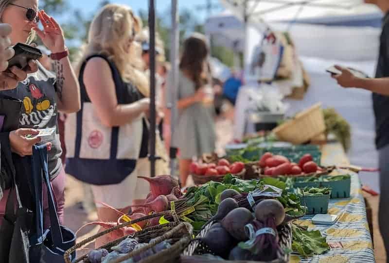 Colorado Springs Sunday Market 1