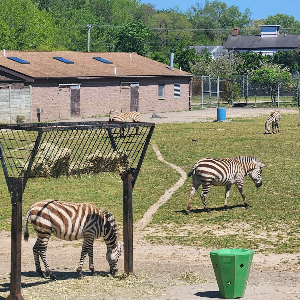 Cape May County Park & Zoo 3