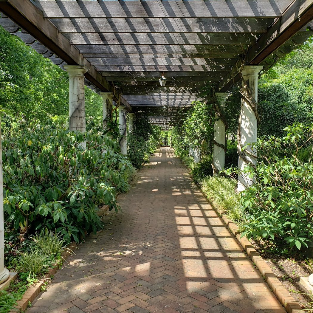 Guided Trail Walk