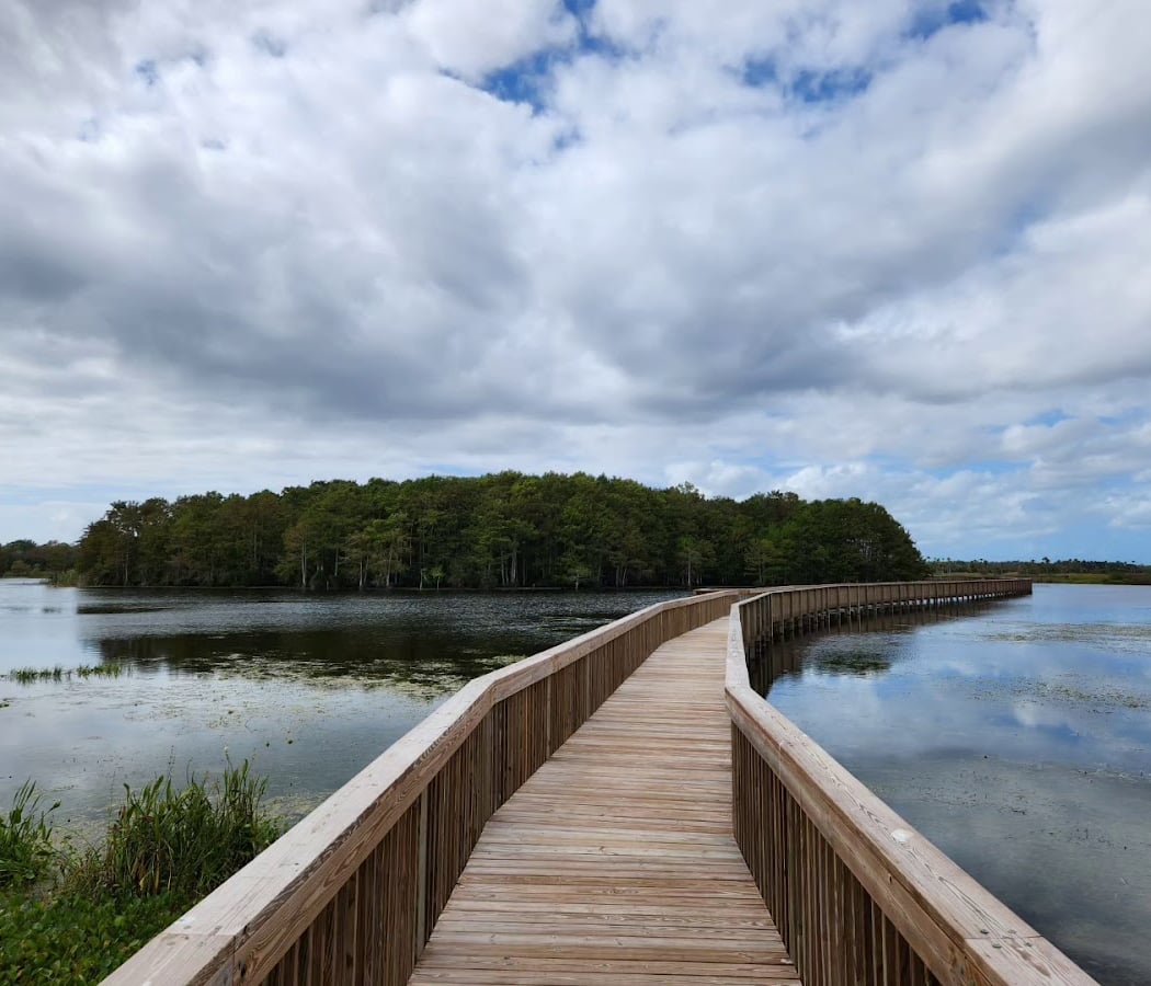 Orlando Wetlands 1