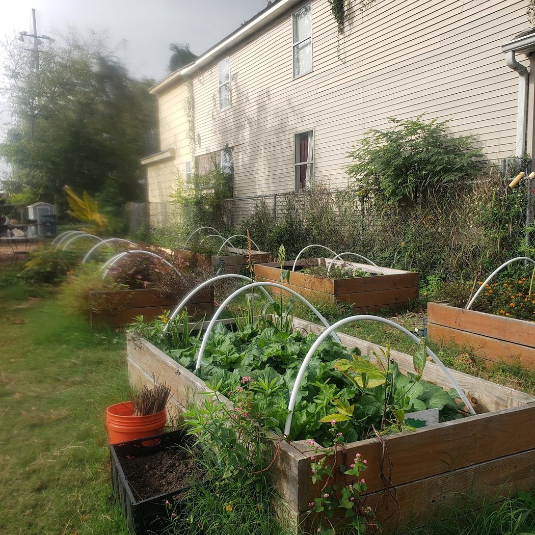 Volunteer with Recirculating Farms - Saturday Mornings 1