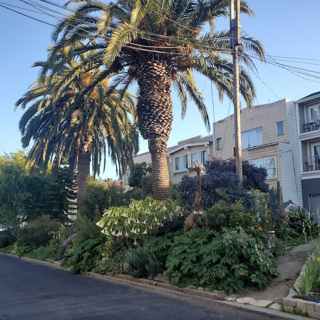 Quesada Gardens Initiative 2