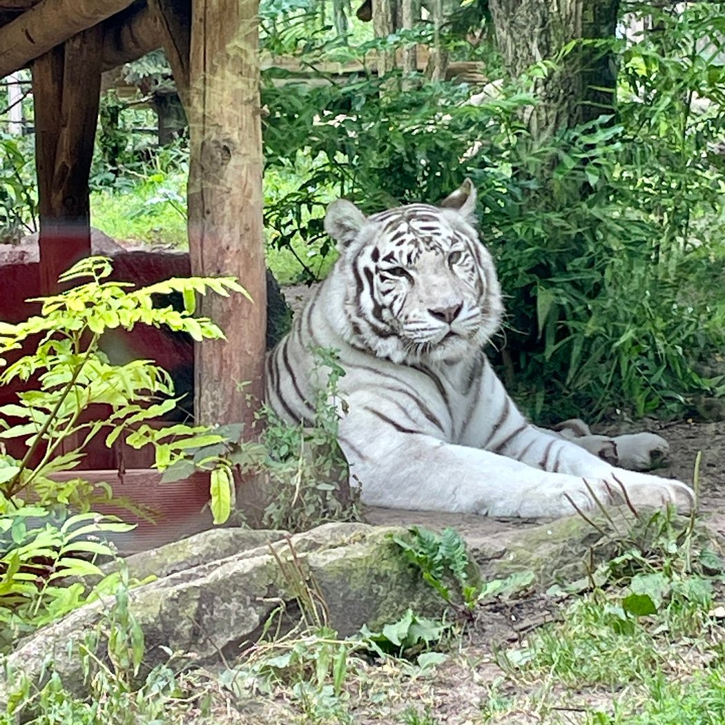 Zoo d'Amnéville 3