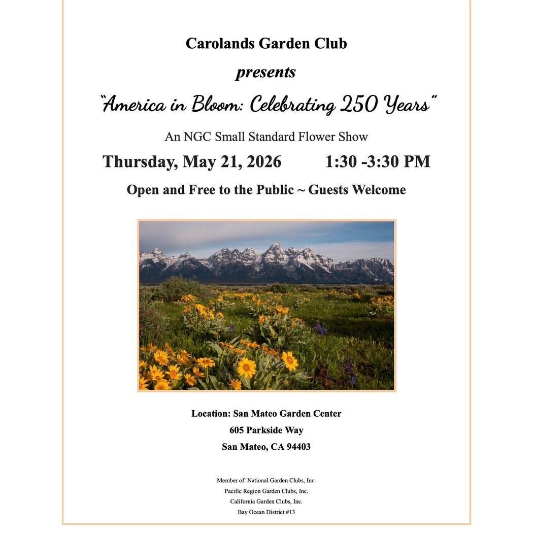 America in Bloom: Celebrating 250 Years 1