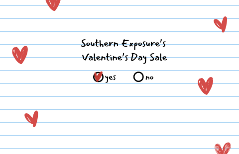 Valentine's Day Sale 1