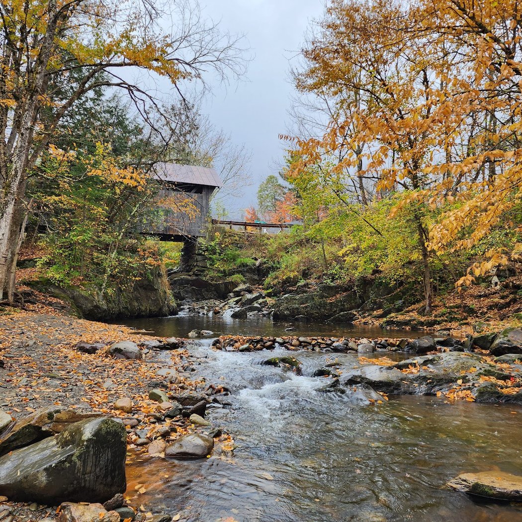 Historic Gold Brook Covered Bridge 3