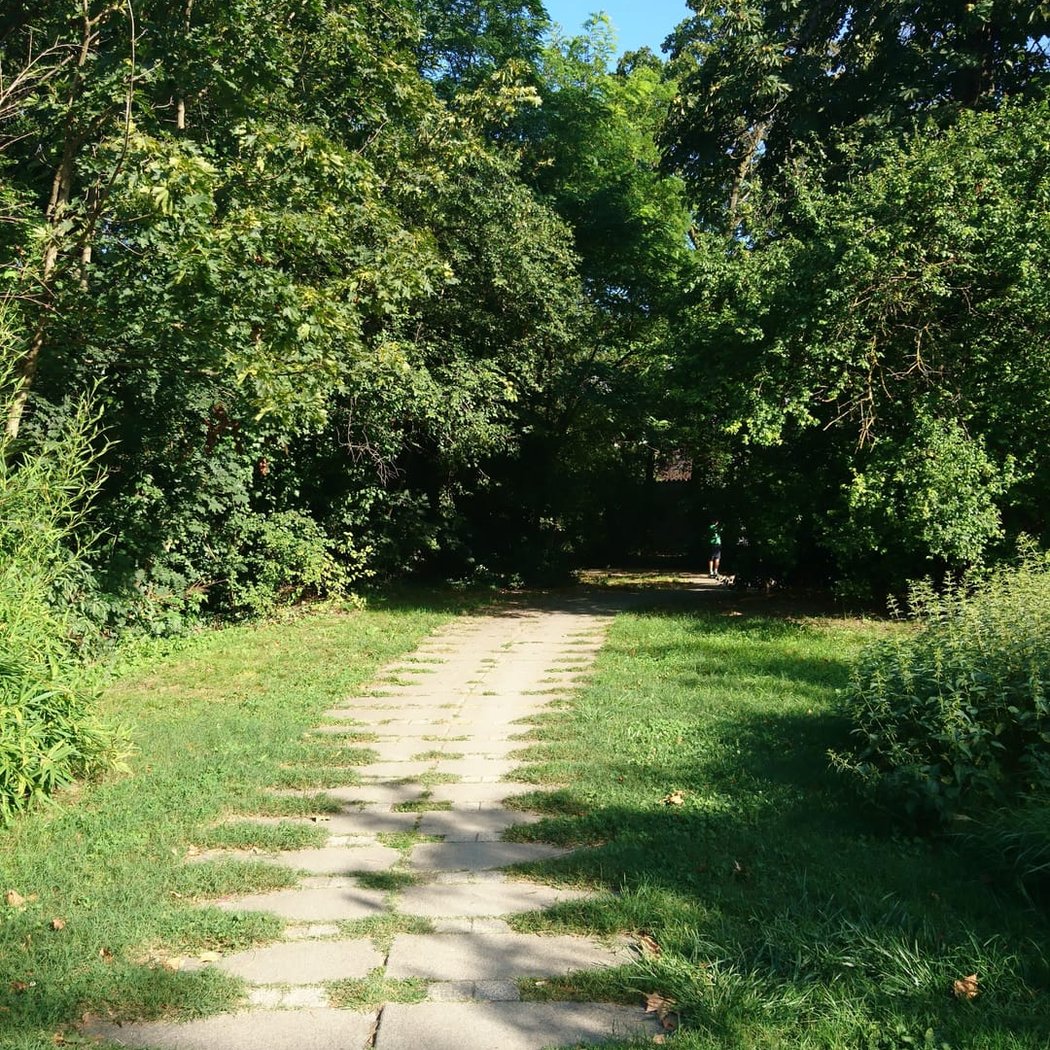 Parc Alexis Jordan 1