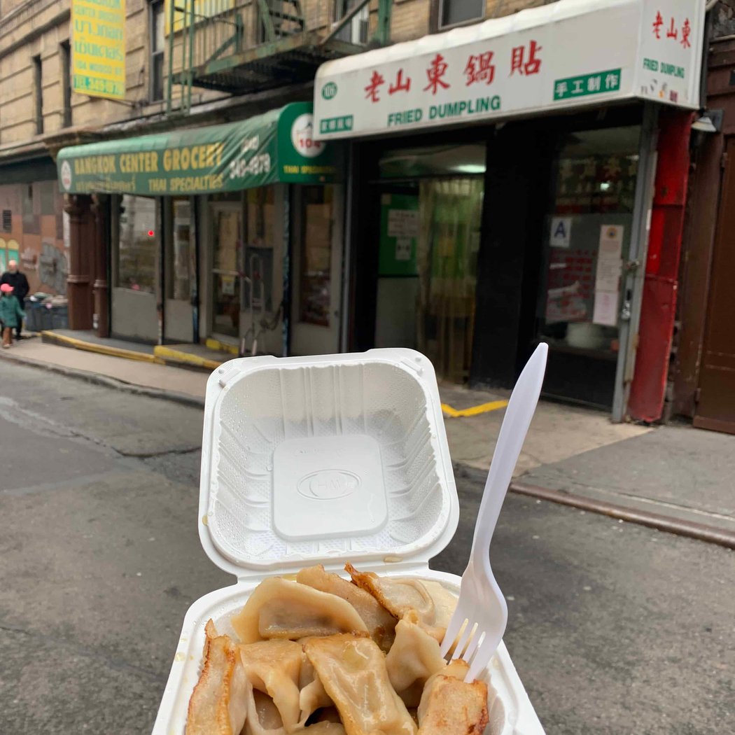 Fried Dumpling 4