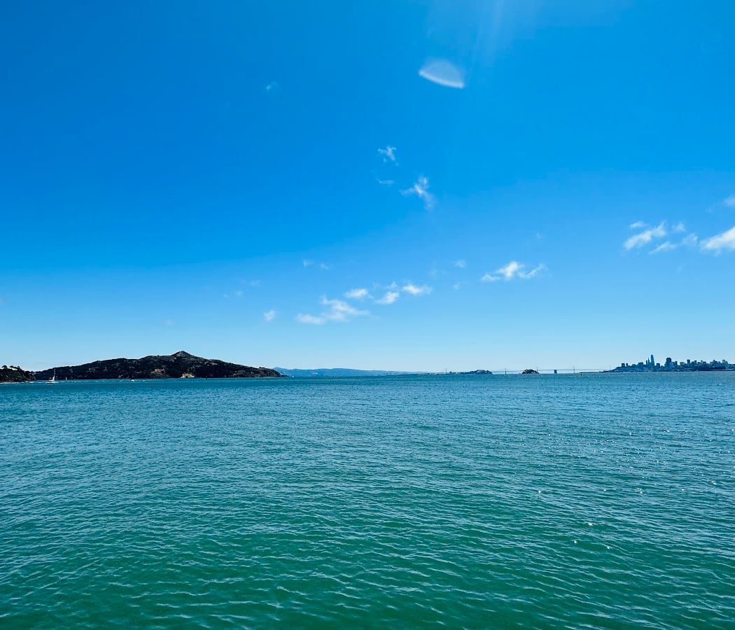 Sausalito Bay Point of View 2
