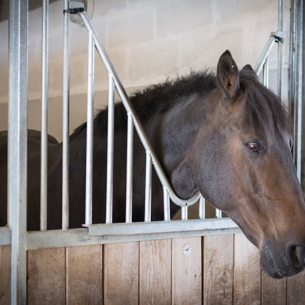 PARC INTERCOM D EQUITATION CHATEAU BLEU 1