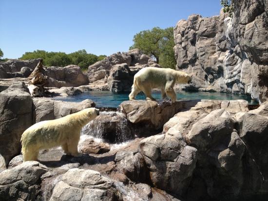 Weekend Family Visit at ABQ BioPark Zoo 2