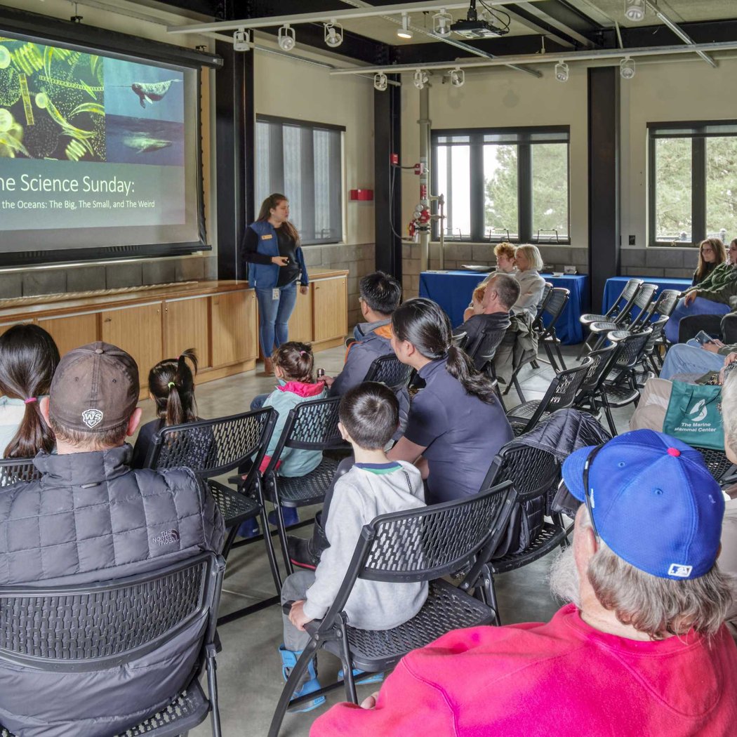 Marine Science Sunday Interactive Programs 2