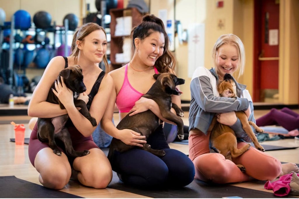 Rescue Puppy Yoga 3
