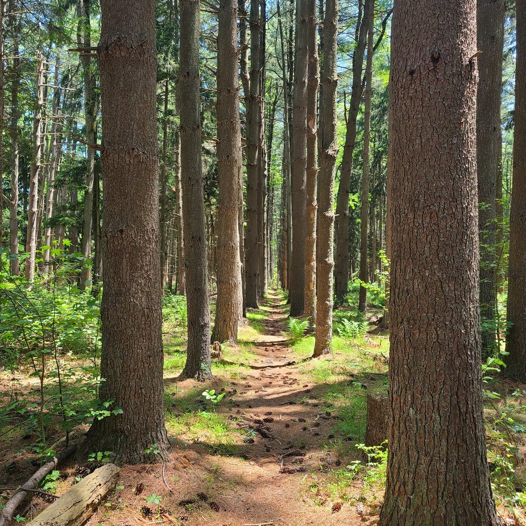 Rancocas Nature Center 1