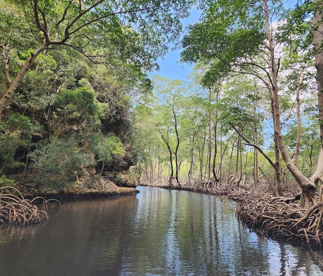 Parque Nacional Los Haitises 2