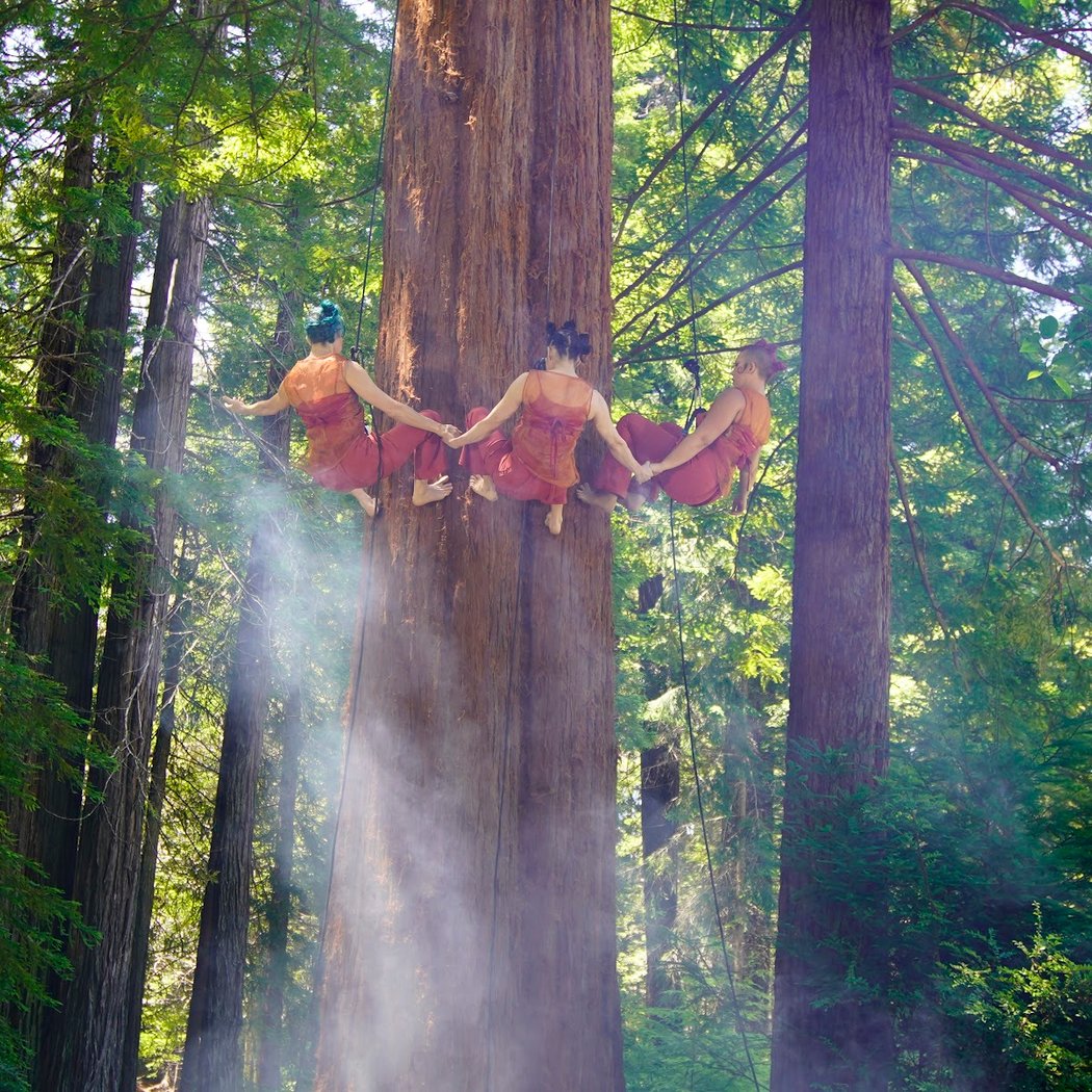 Upswing Aerial Dance Company 2