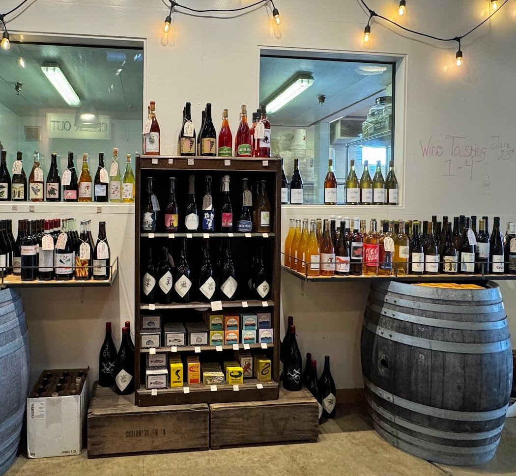 Wild Fermented Beverages! Workshop 1