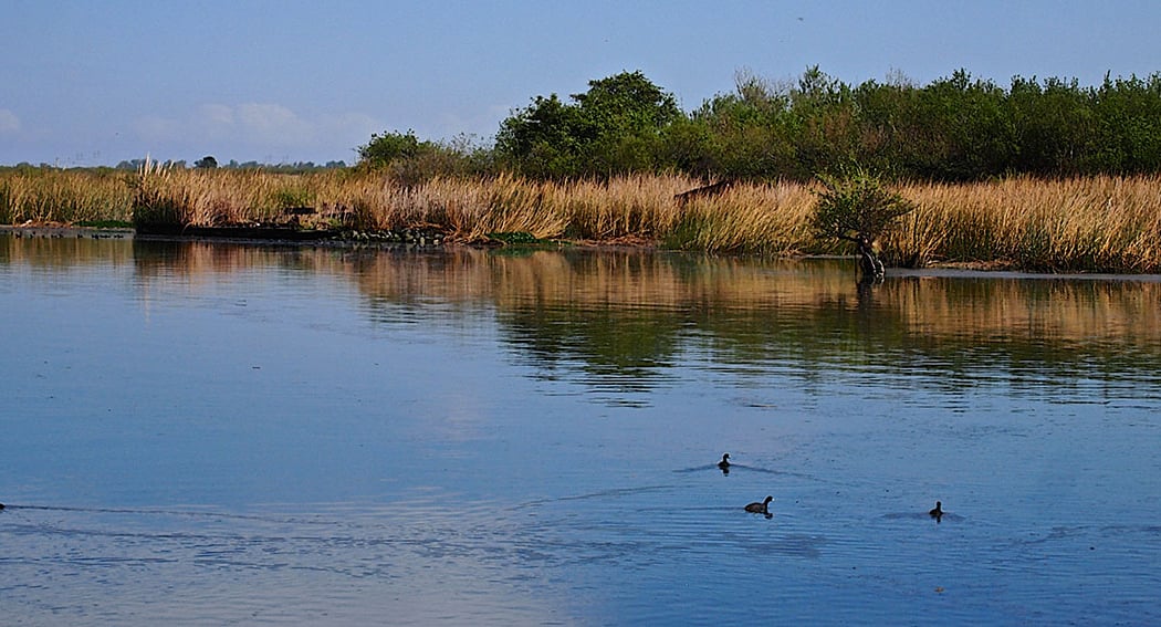 Marsh Creek Trail 1
