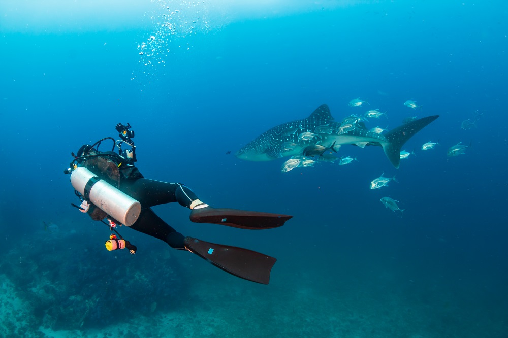 SoCal Dive Meetup 3