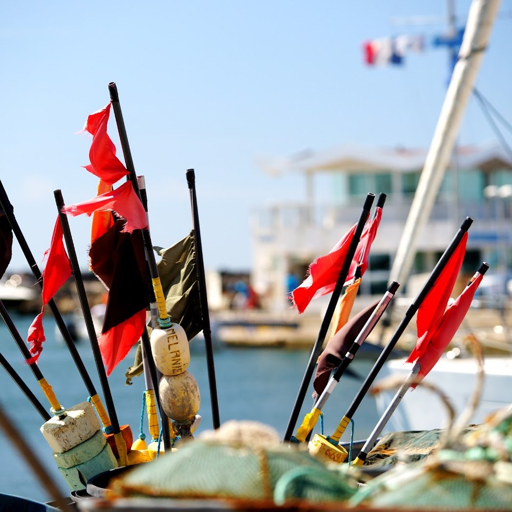 Port de pêche du Cap d'Agde 2