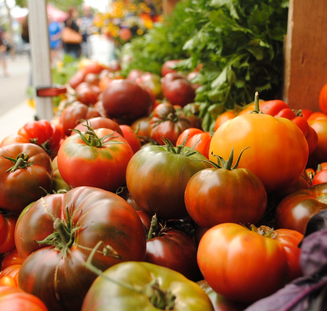 Tomato Celebration