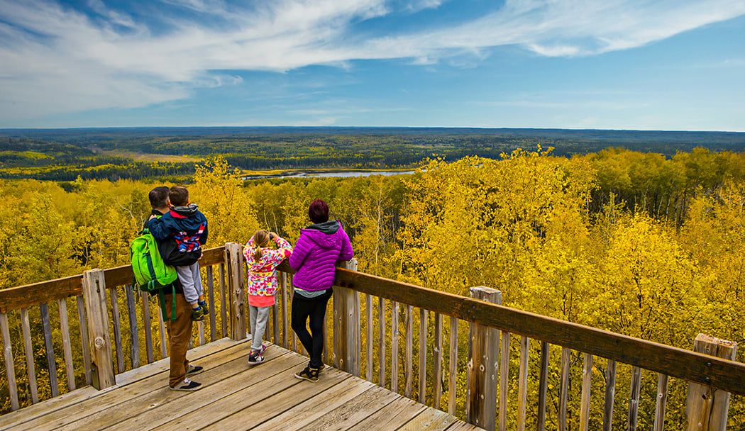 Prince Albert National Park 2