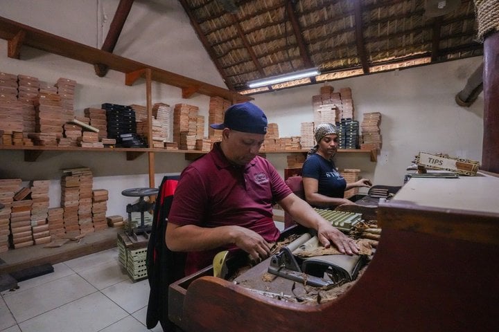 Don Lucas Cigars 1