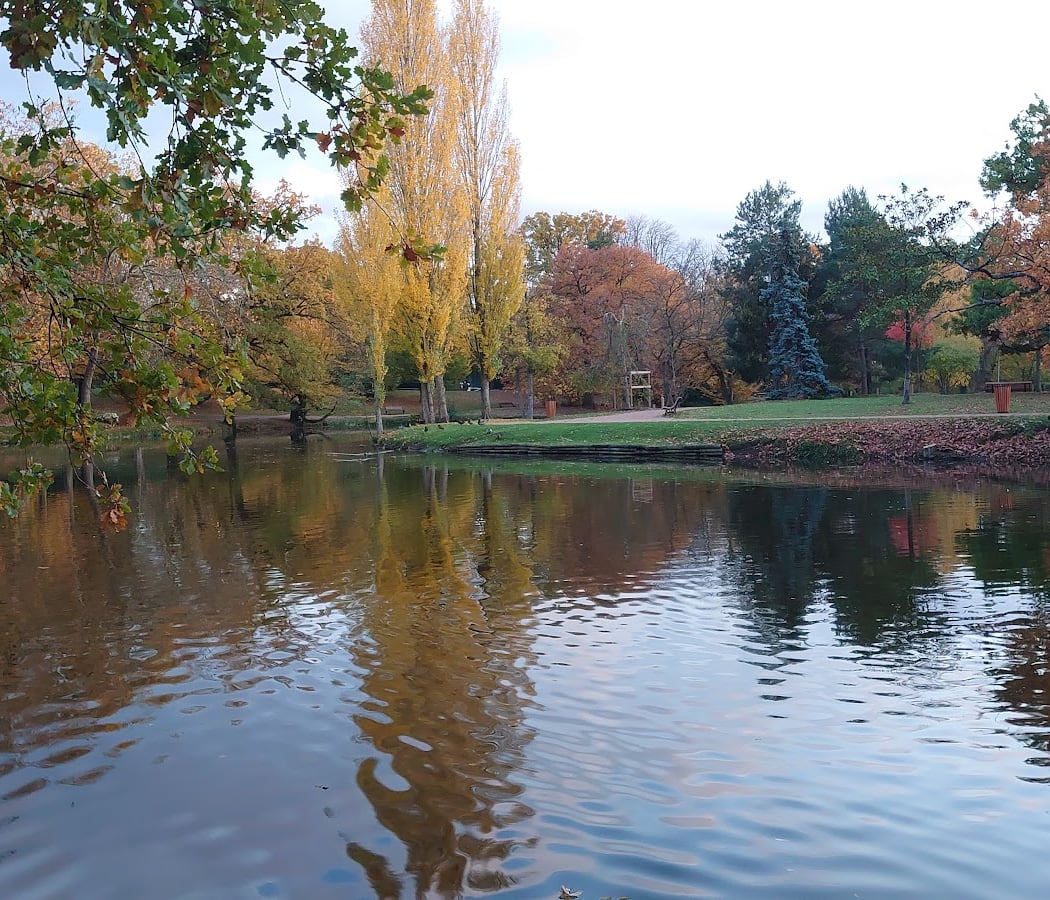 Grand Lac des Ibis 2