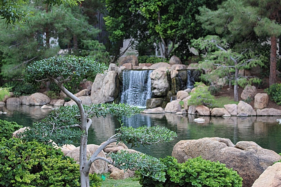 Japanese Friendship Garden of Phoenix 1