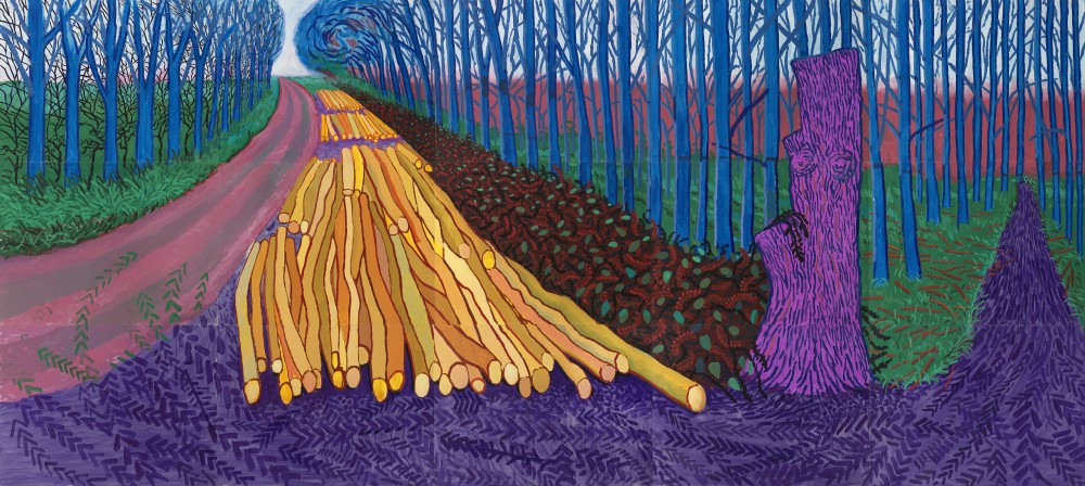 David Hockney 25 3