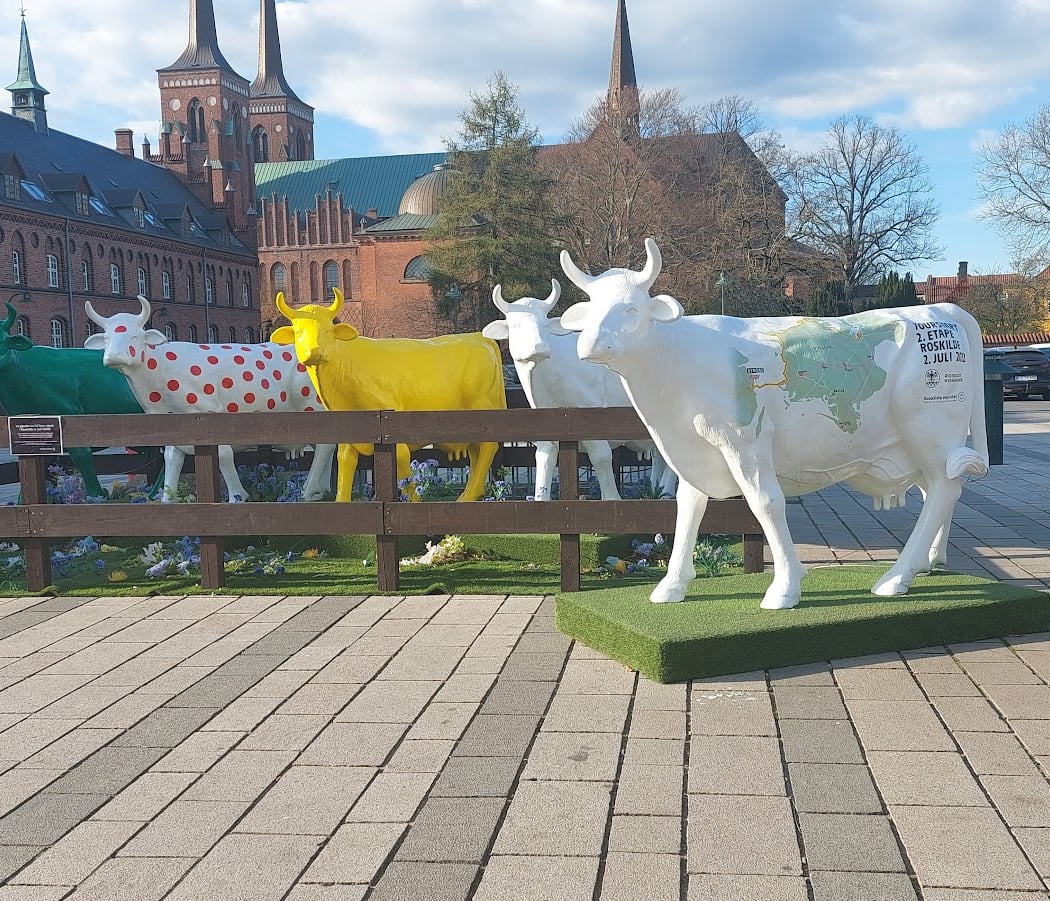 Roskilde 3