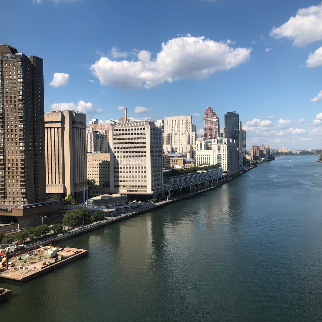 The Great NY Climate Week 2025 2