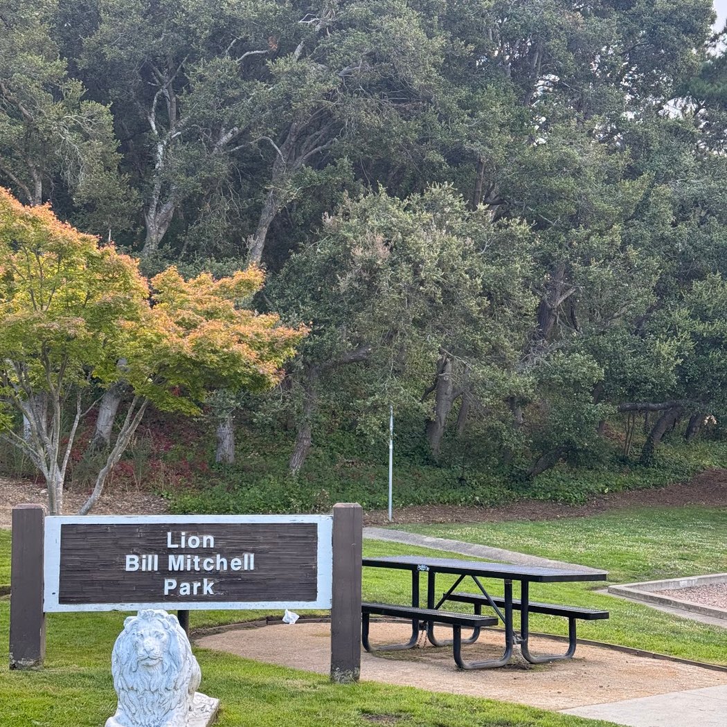 Lion Bill Mitchell Park 3