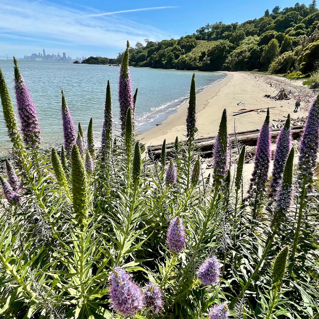 Quarry Beach 1