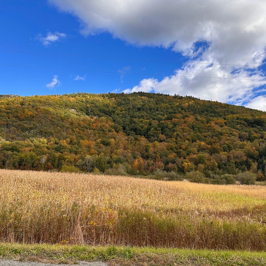 Adirondack Park 2